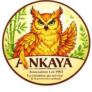Ankaya Ankaya