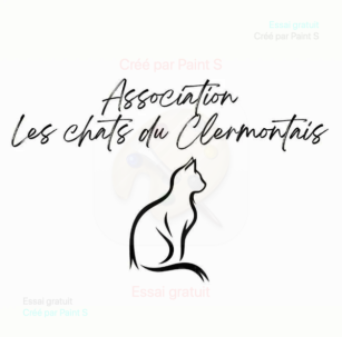 Les Chats du Clermontais Les Chats du Clermontais